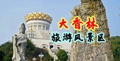 大鸡吧视频中国浙江-绍兴大香林旅游风景区